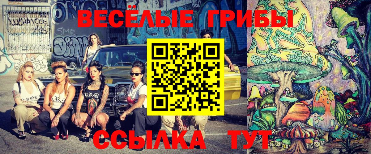 Новоуральск  Псилоцибиновые грибы MAGIC MUSHROOMS  Вход с VPN 